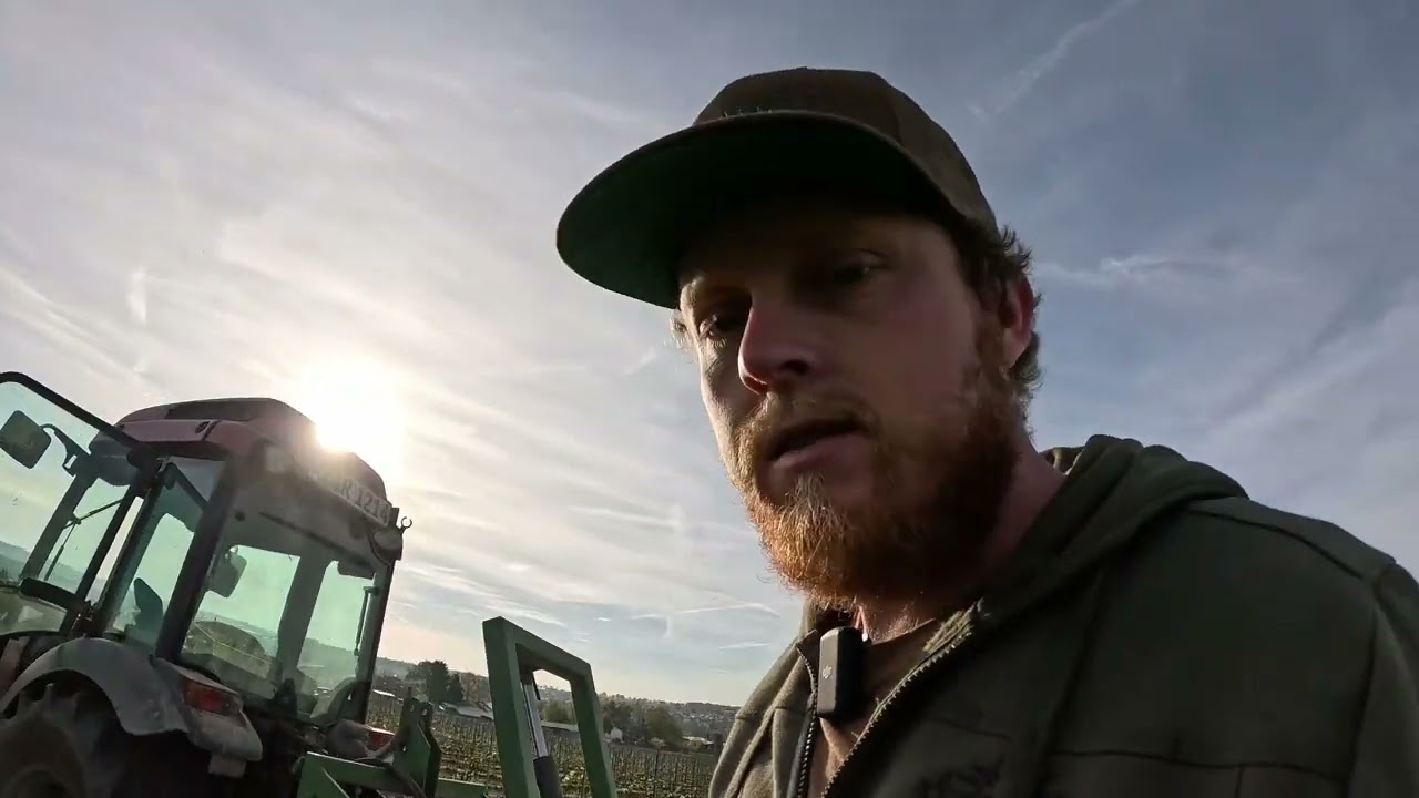 Wein Vlog #1 Scheiben, Mulchen, Grubbern, Dünger streuen. Haarmehlpellets, Arbeiten im Weinberg