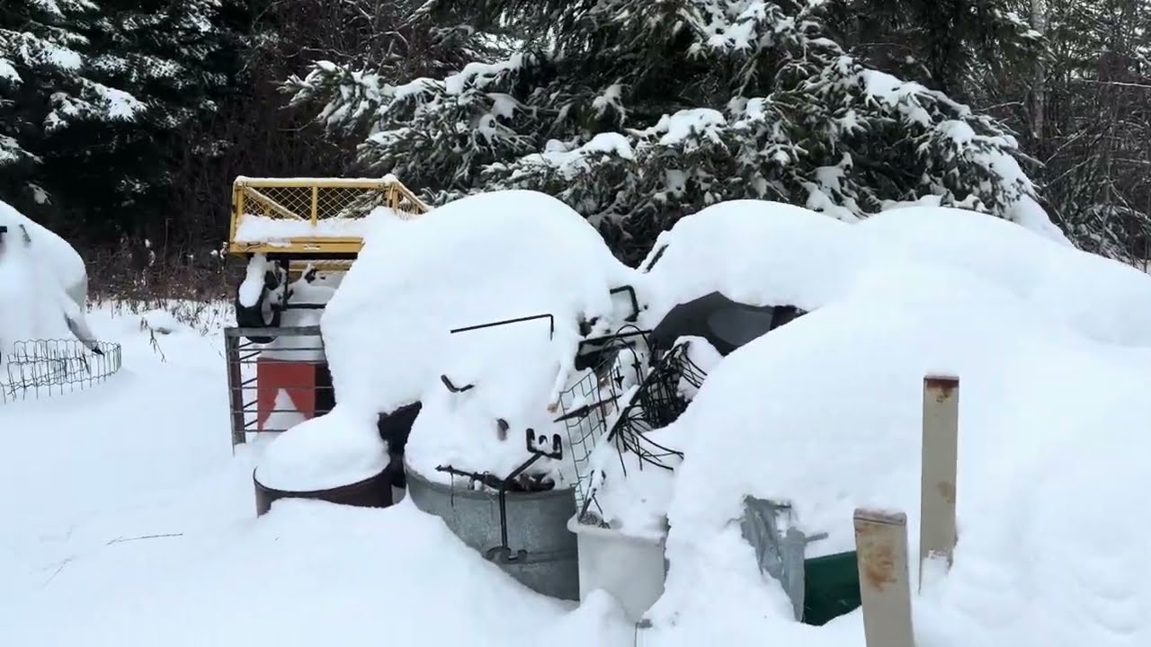 Will the carport still be standing with all the snow?