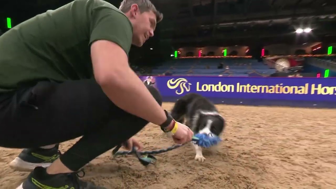 Kennel Club Medium Agility Stakes Sunday 22nd Dec 20024 @ LIHS