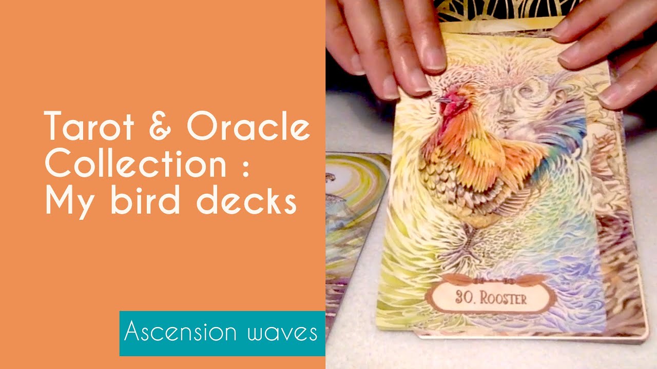 Bird decks : my Tarot & Oracle collection