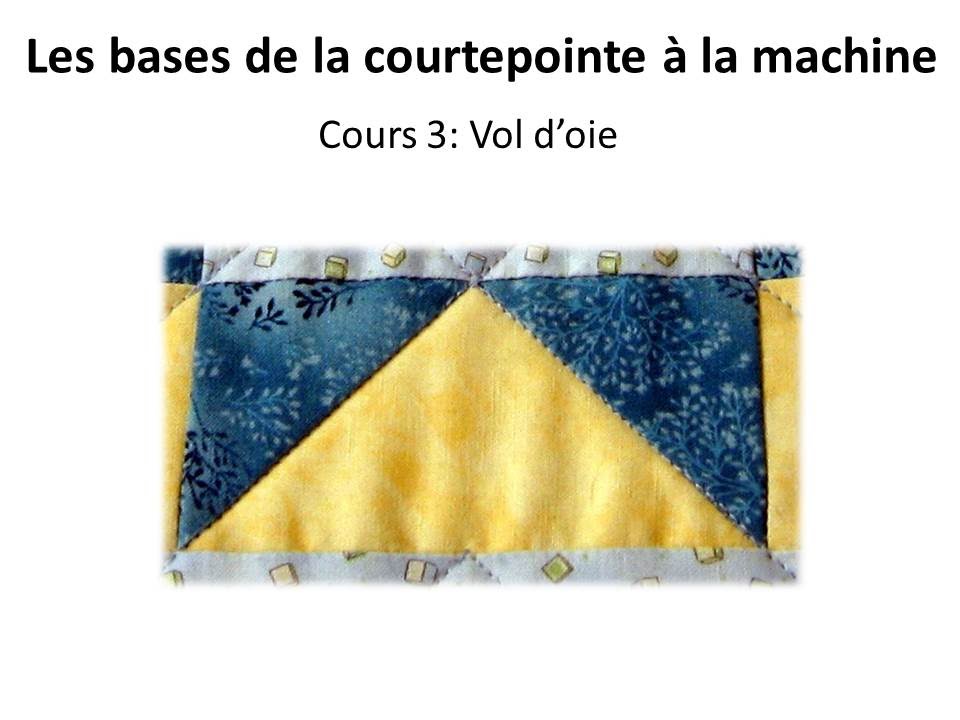 Cours 3 leçon 1, Le vol d'oie