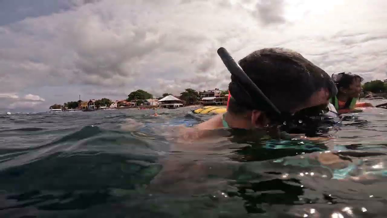 Underwater Moalboal:/ Snorkeling