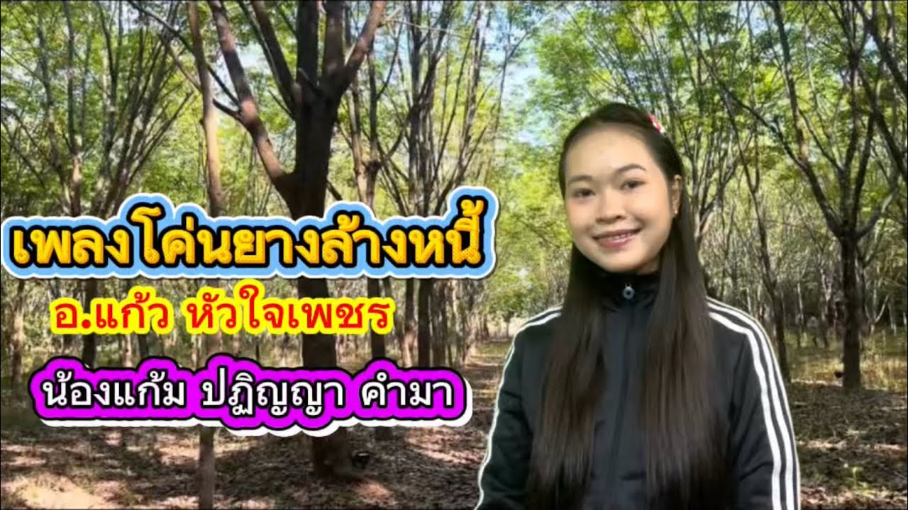 เพลงโค่นยางล้างหนี้ ศิลปิน น้องแก้ม ปฏิญญา คำมา