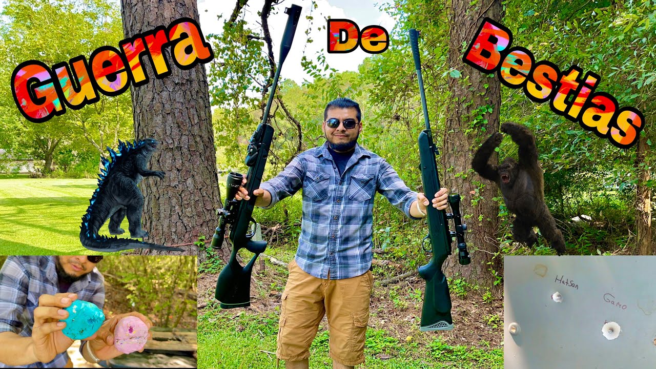 Hatsan 125 Vortex VS Gamo Swarm Magnum G2 (español latino