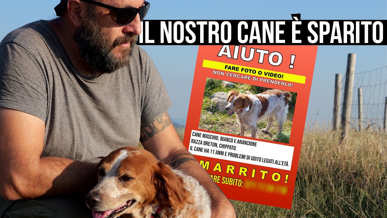 Il nostro cane è scomparso: entrano in azione i PET DETECTIVE - Professionisti nella ricerca animali