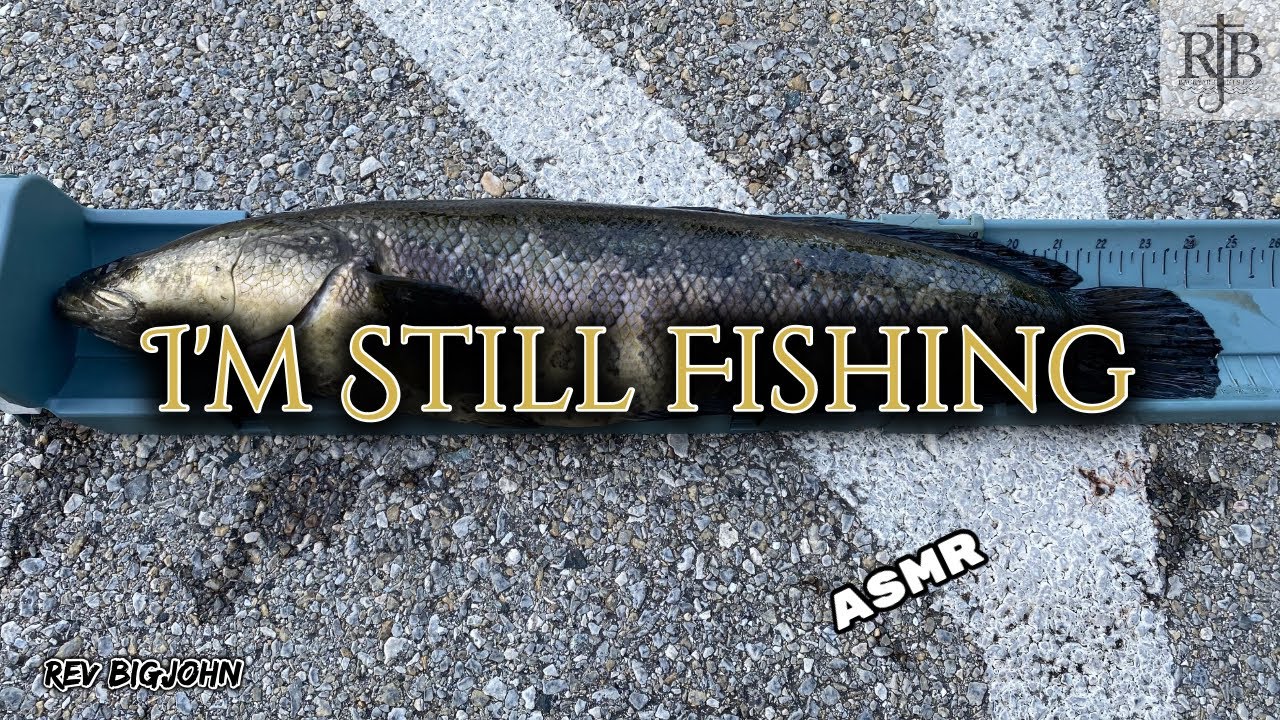 ASMR - I'm Still Fishing (Ep21) Mattawoman Creek