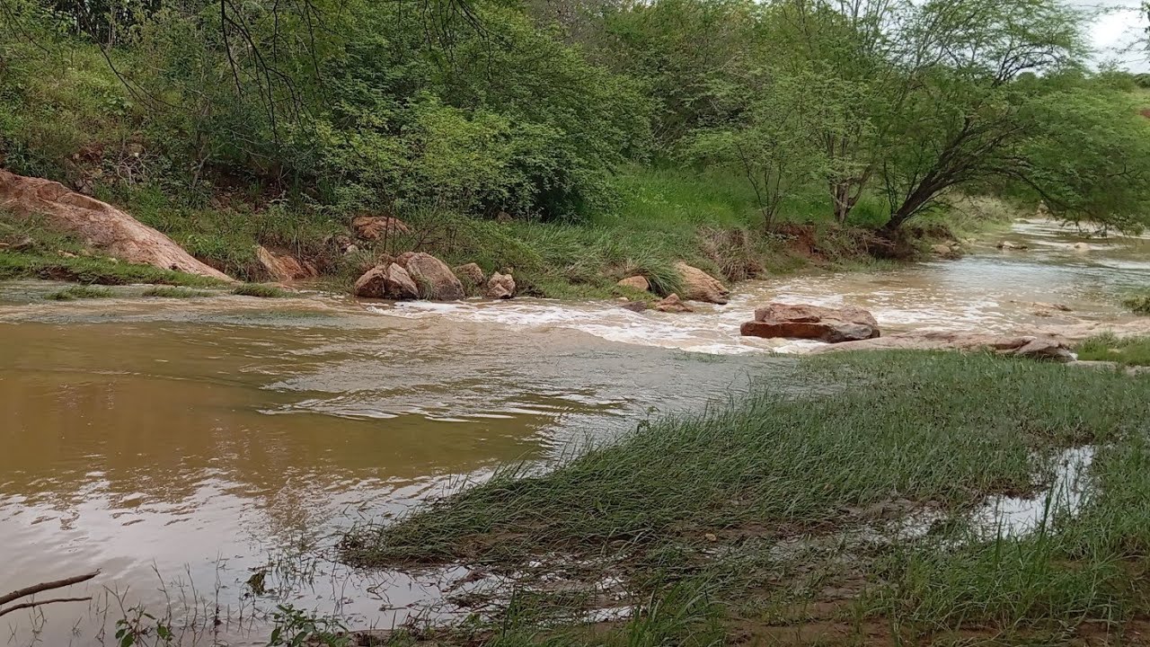 VENHA VER COMO A NATUREZA É LINDA 