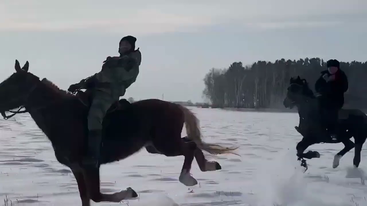 Прогулка на природе 🌳
