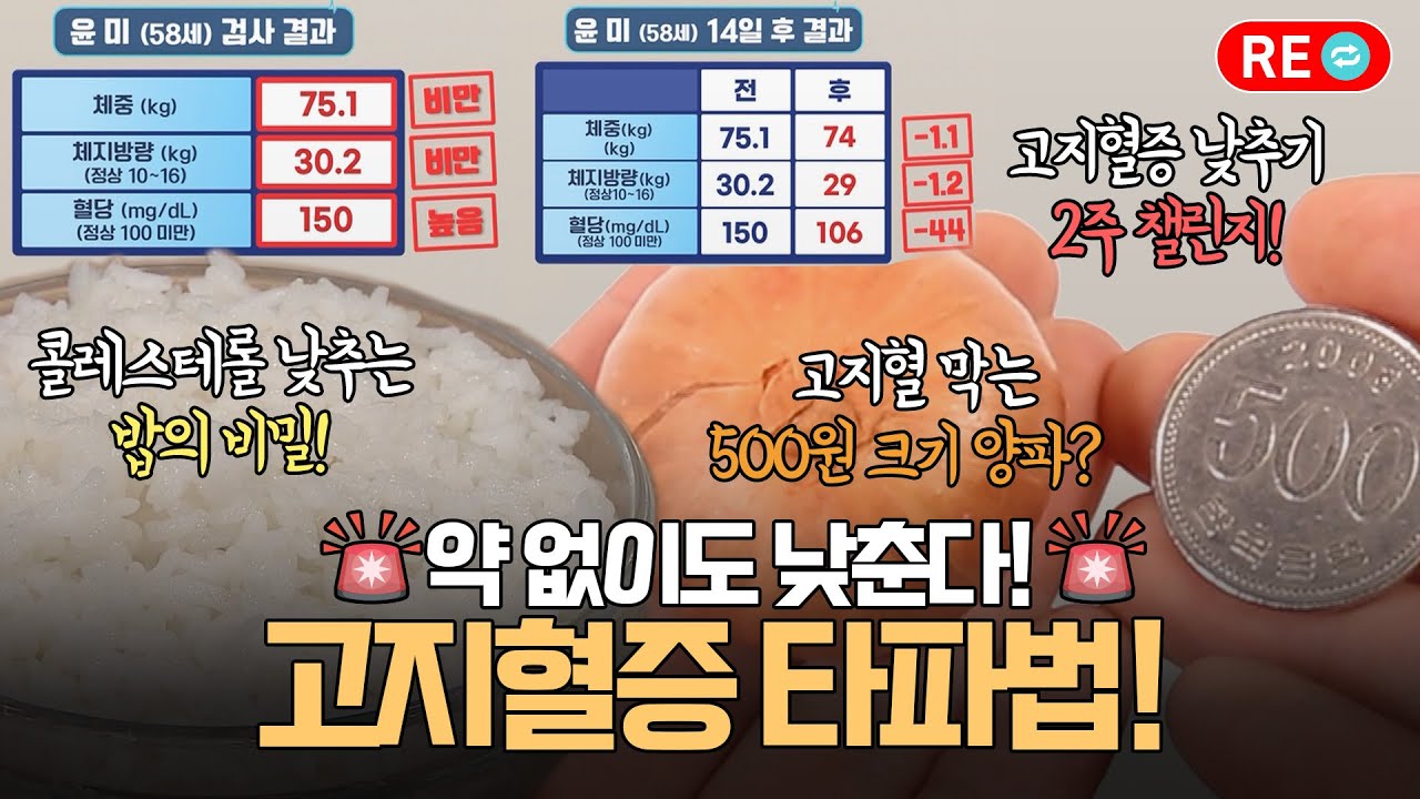[바른 리플레이🔁] 고지혈증 식이요법부터 약 안 먹고 치료하는 법 총정리!
