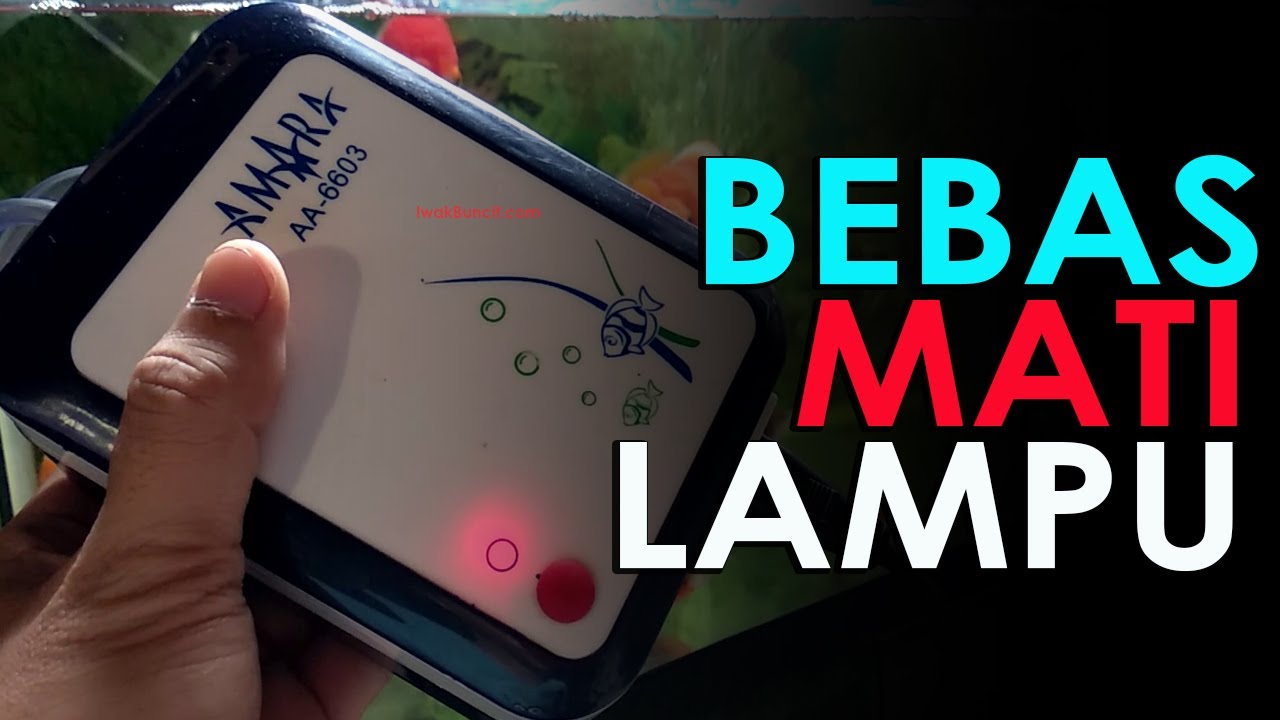 Review Aerator Baterai Amara A6603 AC/DC: Jangan Sampai Ikan Mas Koki Mati Gegara Listrik PLN Padam