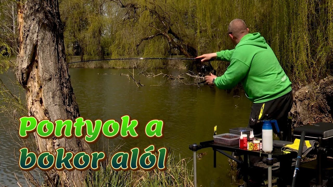 DOVIT METHOD FEEDER - Pontyok a bokor alól
