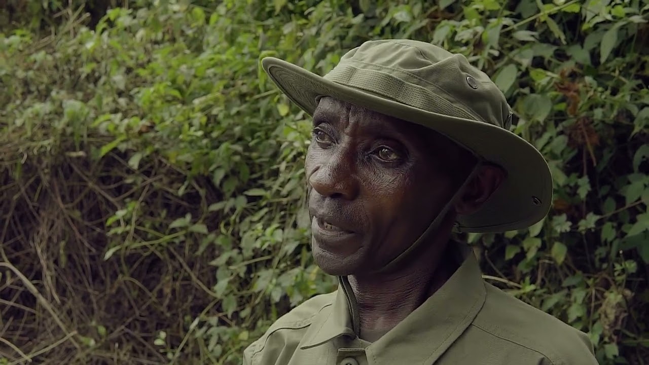 Visite officielle du Directeur Général  de l'ICCN au Parc National de Kahuzi-Biega.