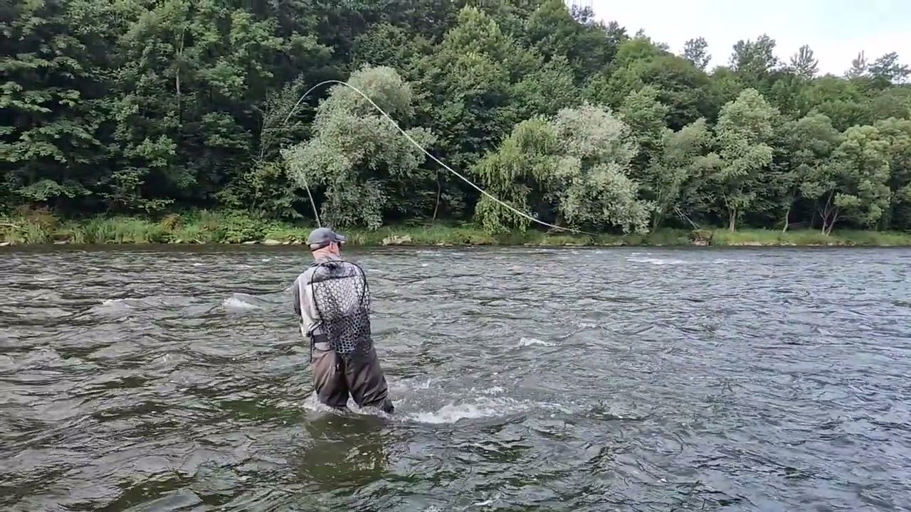 Dunajec 2024