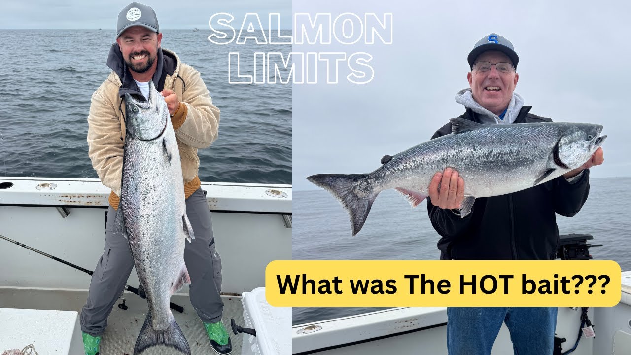 How we caught limits in 2 hours 😮  CA Salmon fishing 2025