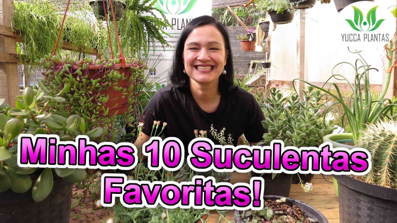 Minhas 10 Suculentas Favoritas! - Desafio do @umbotaniconoapartamento