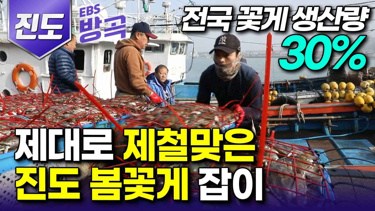 [전남 진도] 제대로 제철 맞은 봄 꽃게 🦀한 번 바다 나가면 한 달 정박은 기본! 서망항 게 잡이 24시┃전국 꽃게의 30%를 차지하는 꽃게의 고장 '진도'┃#한국기행 #방방곡곡