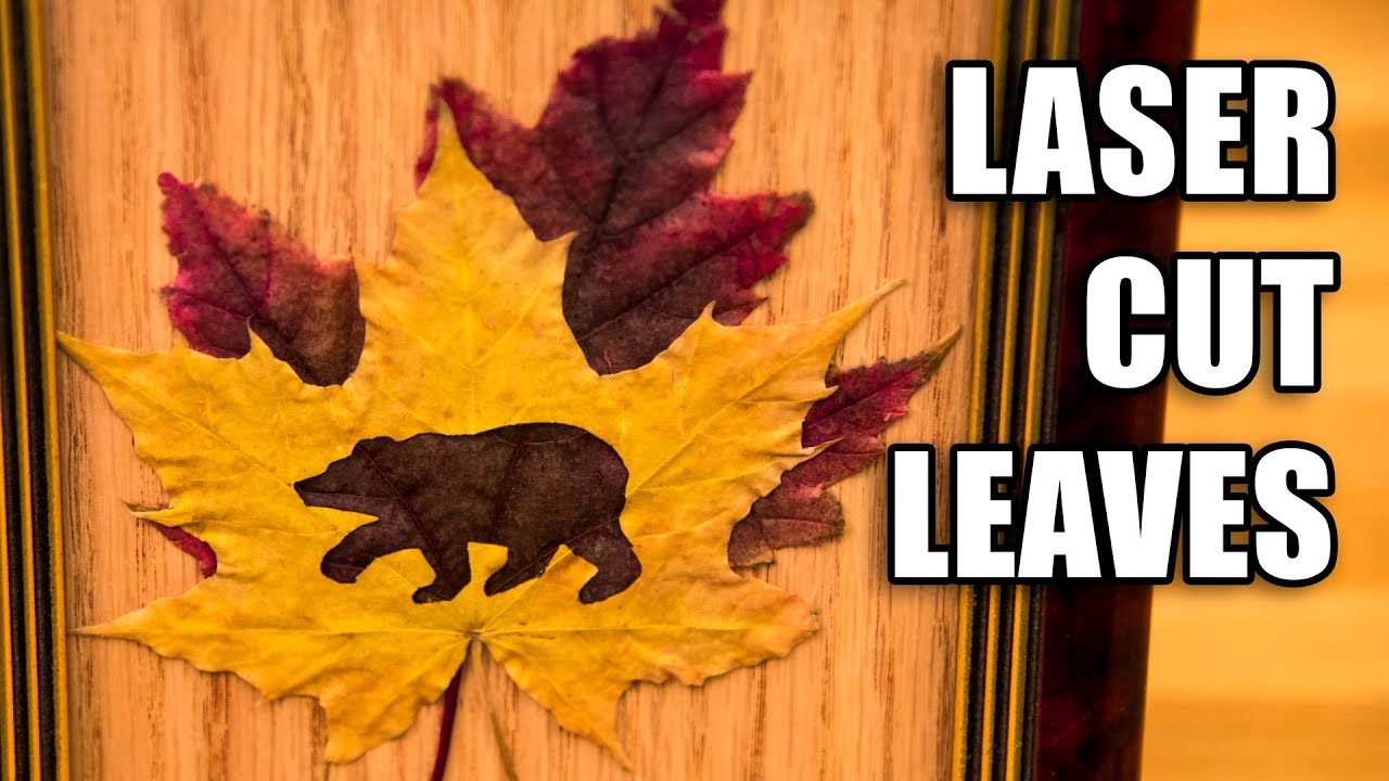 Laser Cut Leaves / Laser Engraving Leaves