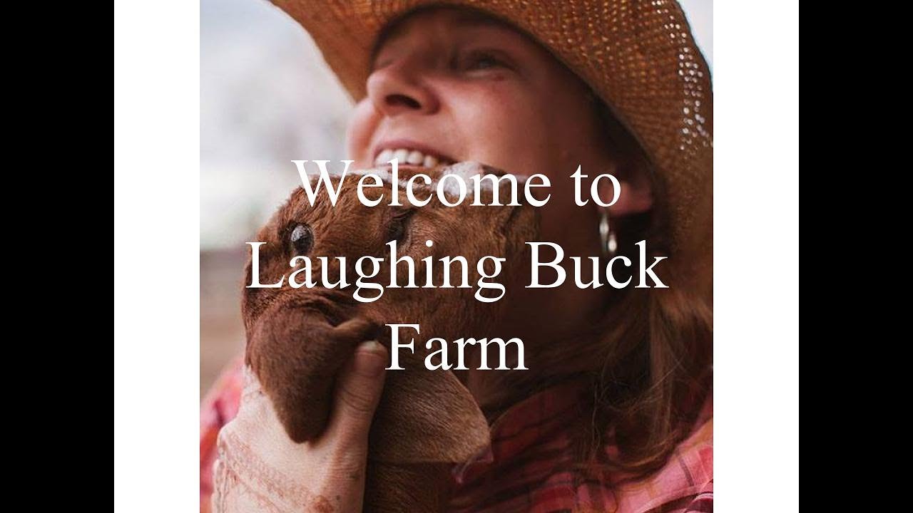 Welcome to Laughing Buck Farm