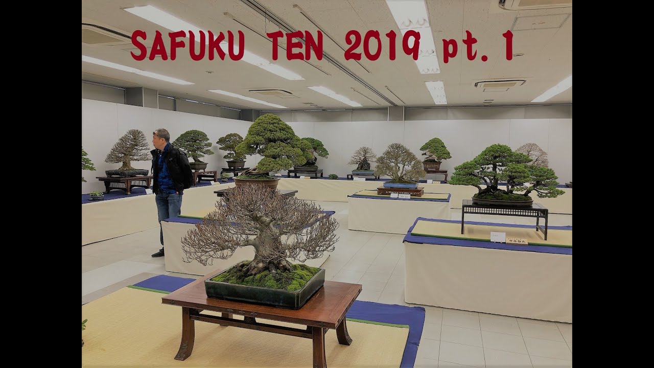 45th  JAPAN BONSAI SAKUFU TEN 2019 ( Pt. ❶)  ・４５回日本盆栽作風展