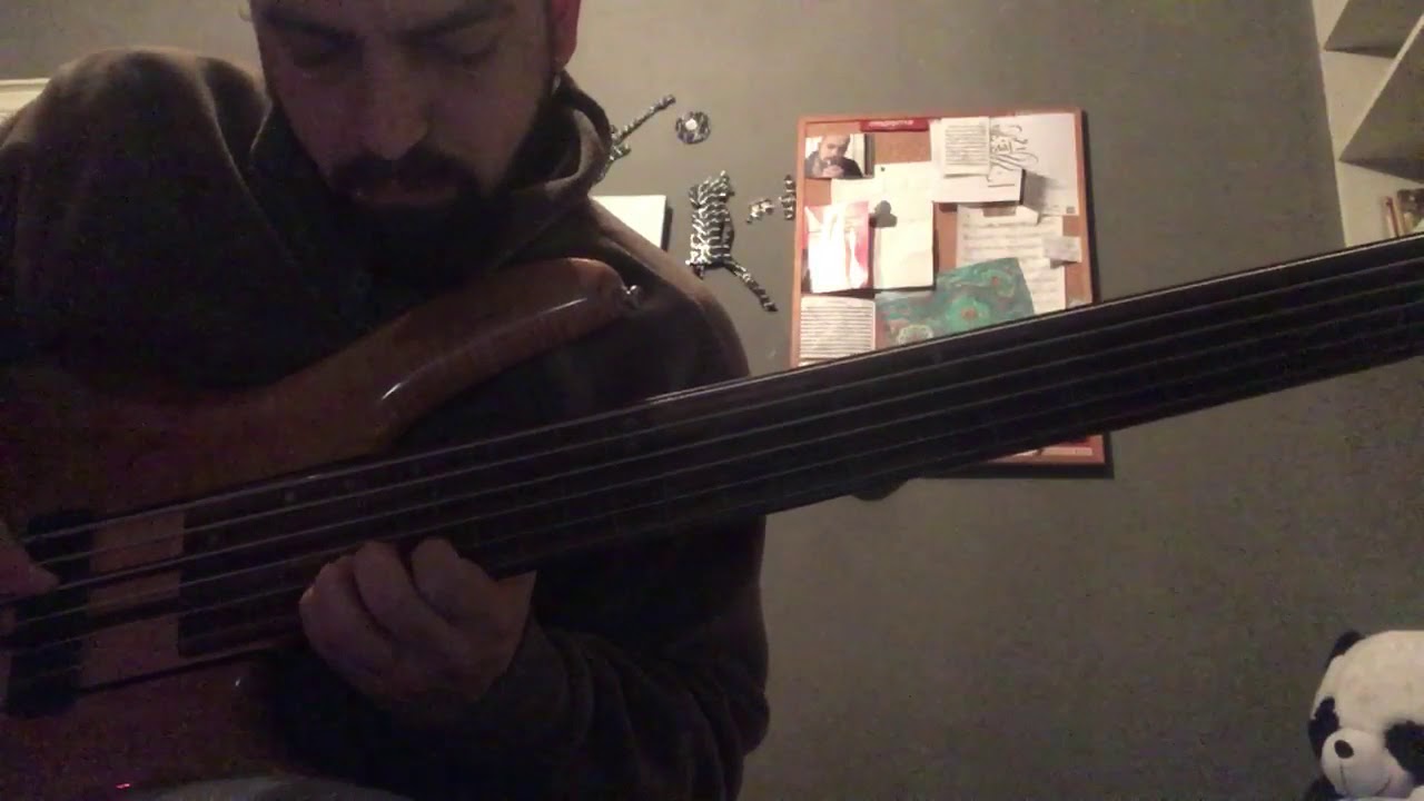 PERDESİZ BAS (Fretless Bass) GÖKSEL BAKTAGİR - GARİP (HİCAZ SAZ SEMAİSİ)