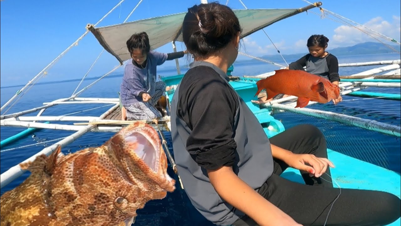 Bagong Spot Hindi Nabigo Ang mga Bata sa Giant Grouper nato!