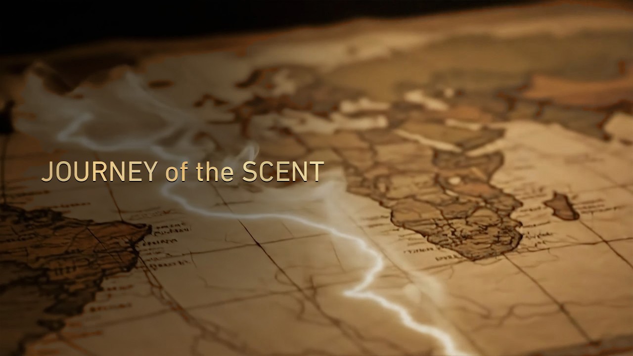 Journey of the Scent — Chapter 1: Inception | Istanbul Airport Documentary Series
