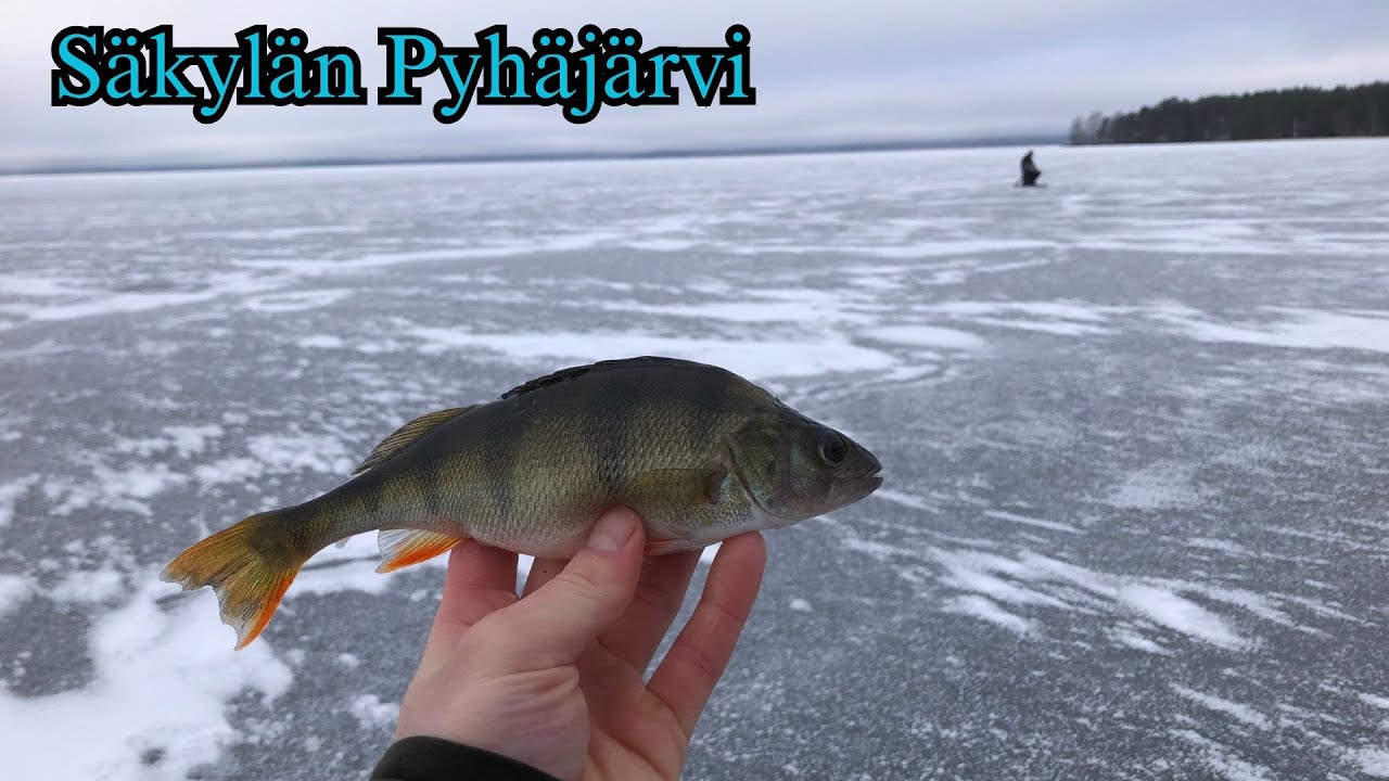 Pilkillä Säkylän Pyhäjärvellä