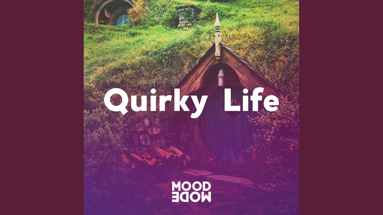 Quirky Life
