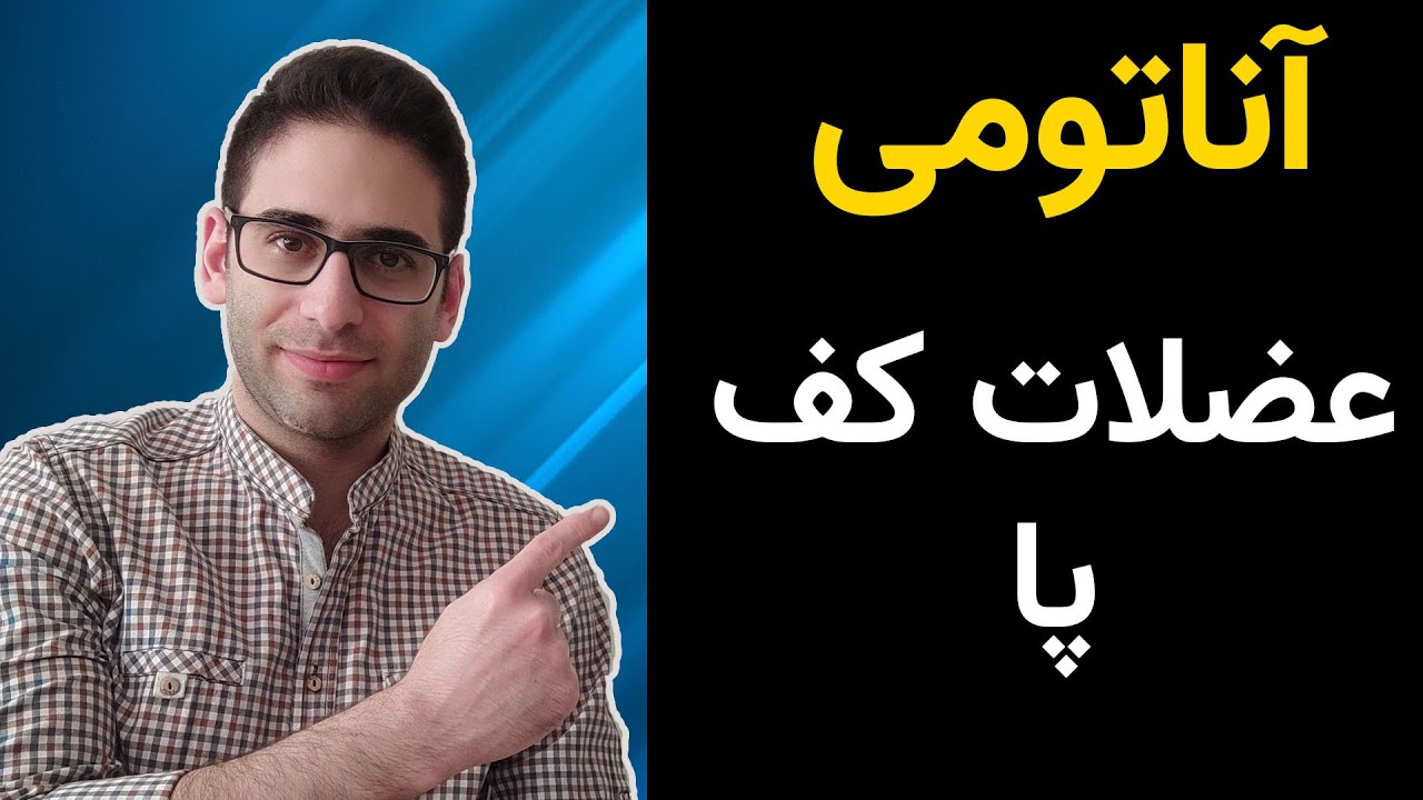 آناتومی عضلات پا