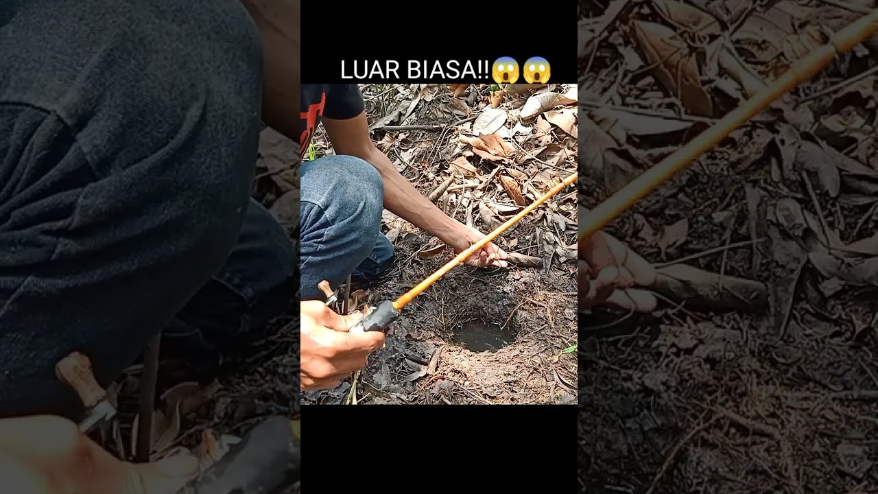 IKAN LEMBAT MONSTER PENUNGGU LUBANG, 🐟 #5 #shorts