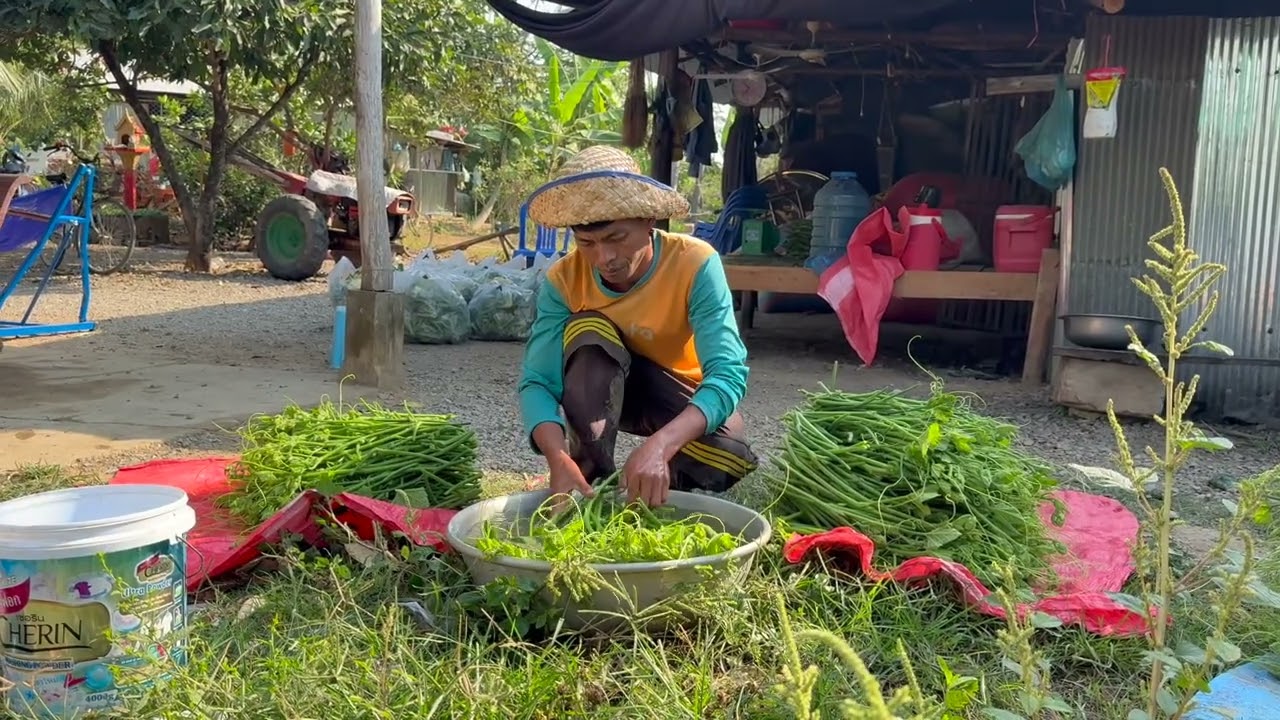 I'm delivering cauliflower to Wat Boeung Raing