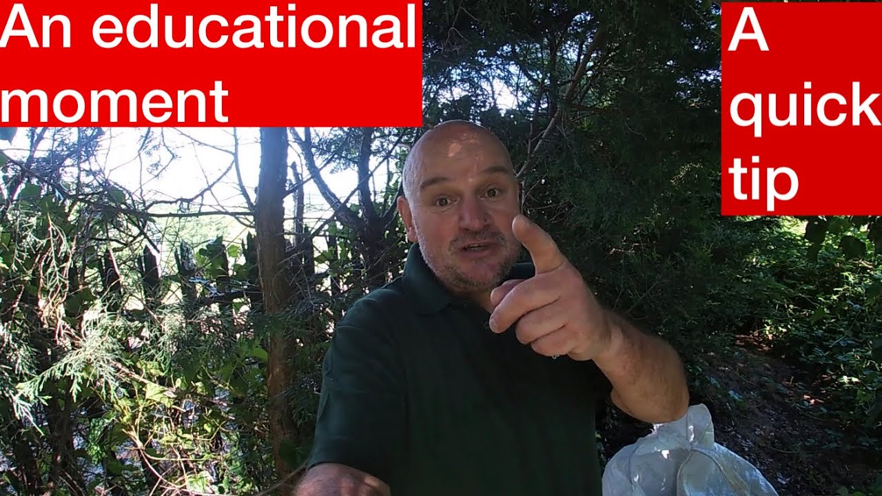 How I manage my garden waste.