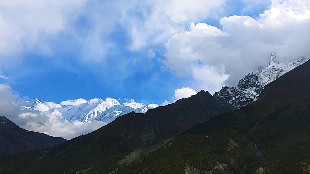Bhraka
