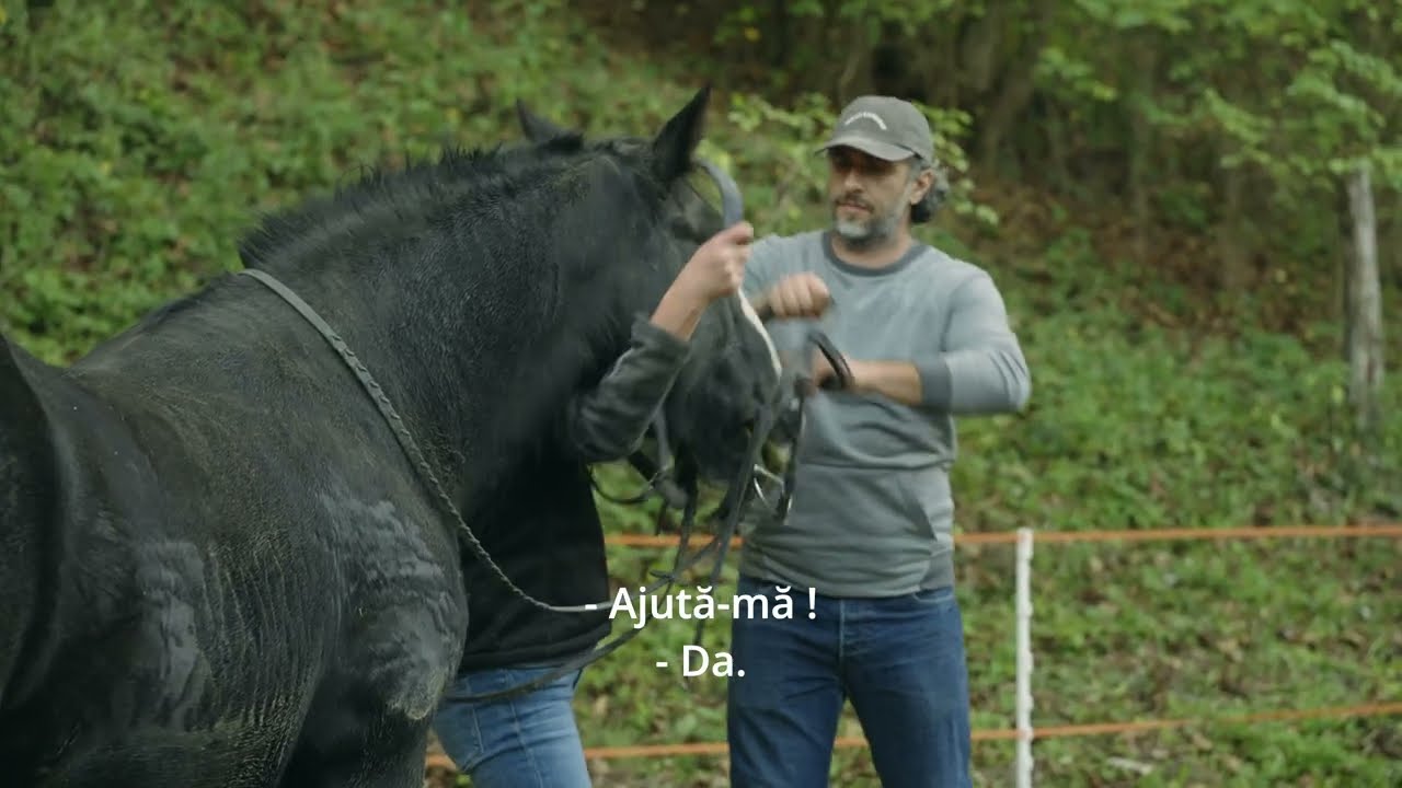 Bucurii la tara- Sezonul 2 Episodul 8 - Doi cai frumosi pentru familia Bucur.