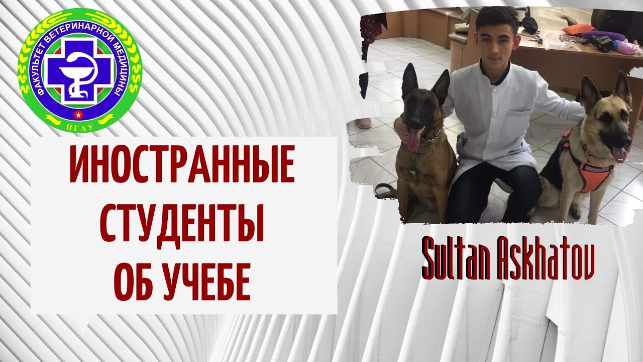ИНОСТРАННЫЕ СТУДЕНТЫ ОБ УЧЕБЕ &bull; АБИТУРИЕНТУ НГАУ ФВМ
