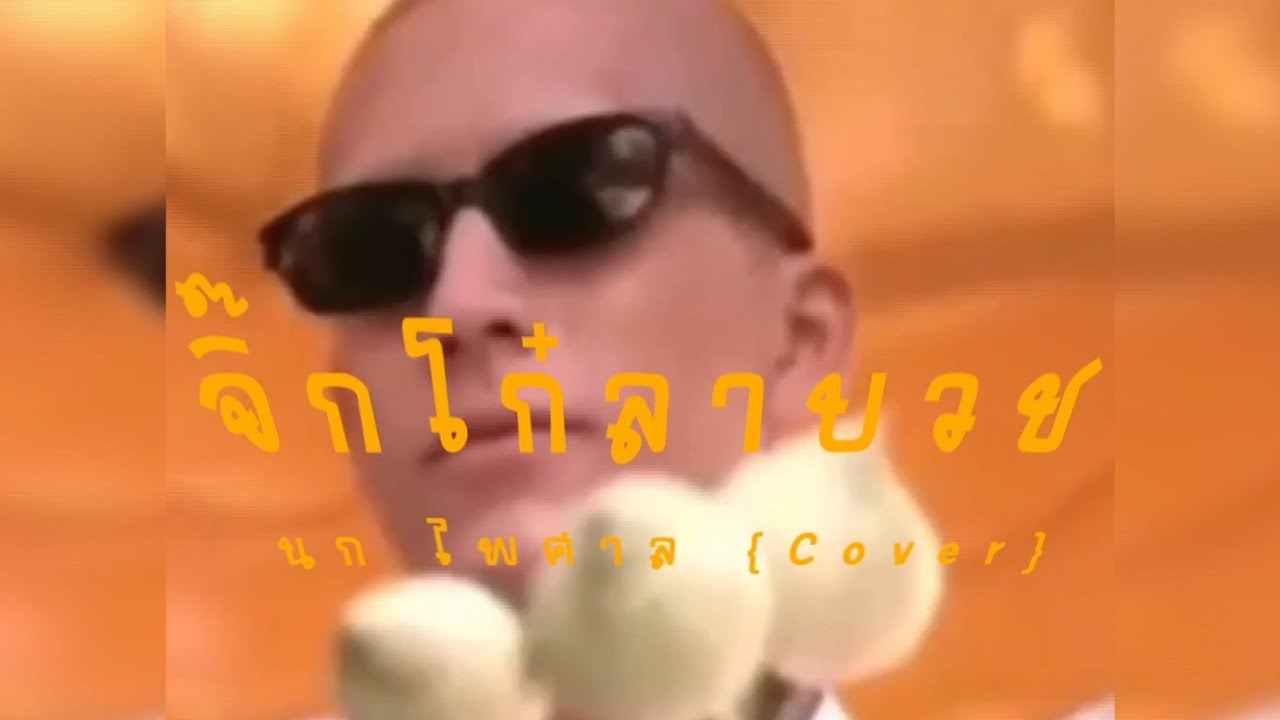 จิ๊กโก๋ลาบวช - นก ไพศาล {Cover}