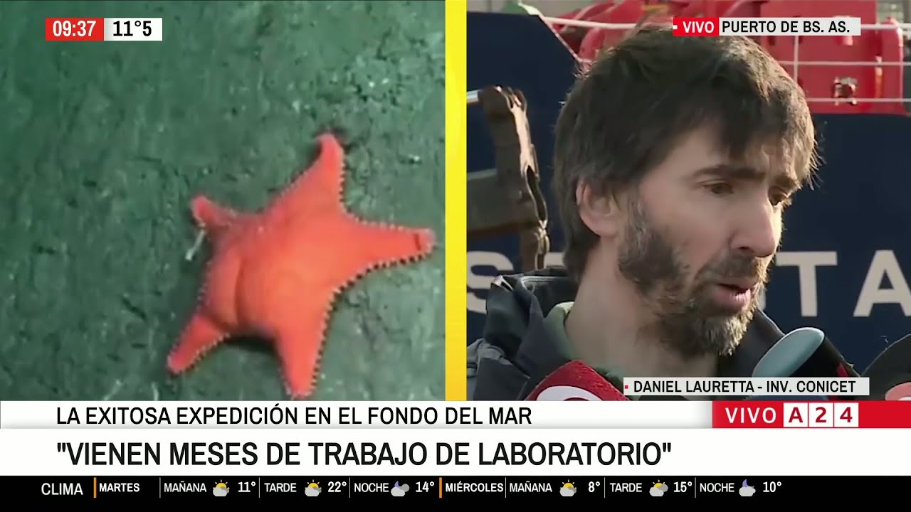 🌊👩‍🔬 VOLVIÓ EL EQUIPO DEL CONICET TRAS LA EXPEDICIÓN EN EL FONDO DEL MAR