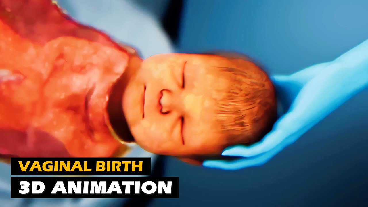 Vaginal Childbirth | 3D Animation