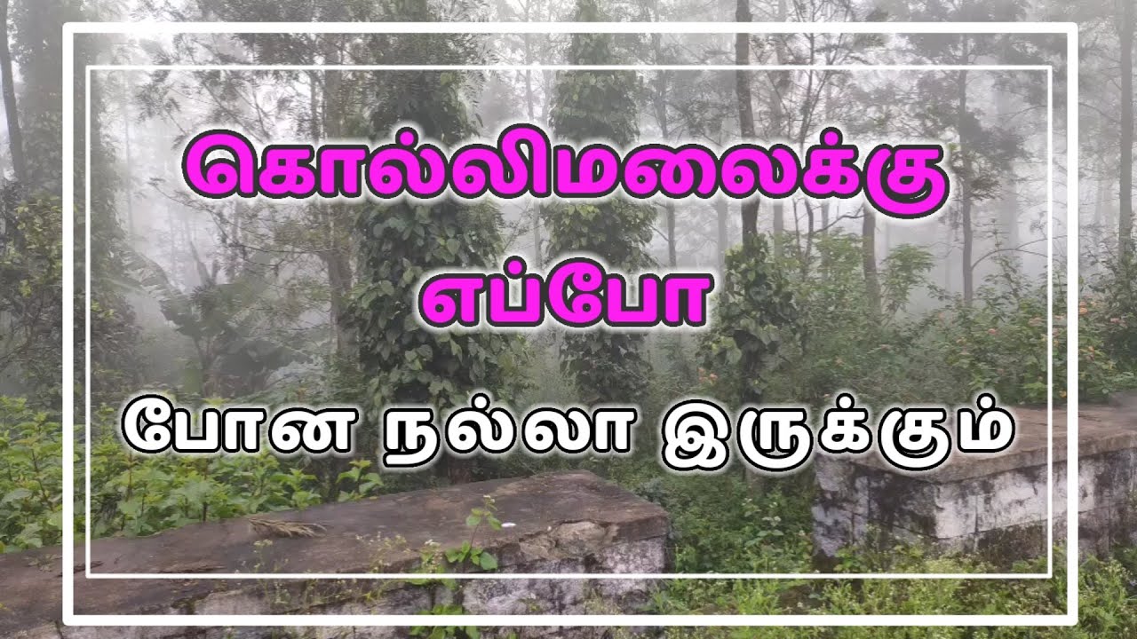 Best Time to Visit KolliHills | கொல்லிமலை பயணம் | #kollihills