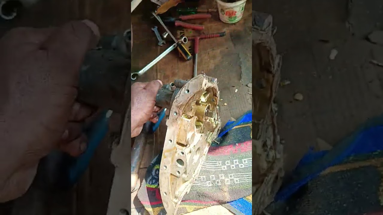 TATA NANO water and oil mixing complaint 