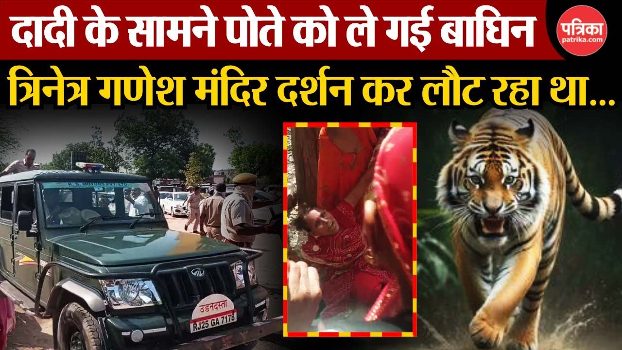Ranthambore : दादी के सामने पोते की गर्दन पकड़कर ले गई बाघिन सुल्ताना, जंगल में इस हाल में मिला शव