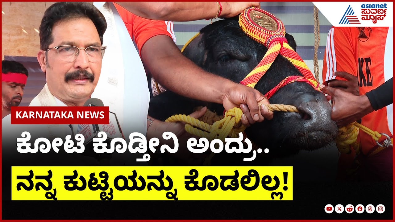 ಕಂಬಳದ ರಾಜ 'ಕುಟ್ಟಿ': ಶ್ರೀಕಾಂತ್ ಭಟ್ಟರ ಅದೃಷ್ಟ ಬದಲಿಸಿದ ಚಾಂಪಿಯನ್! | Kambala Champion | Suvarna News