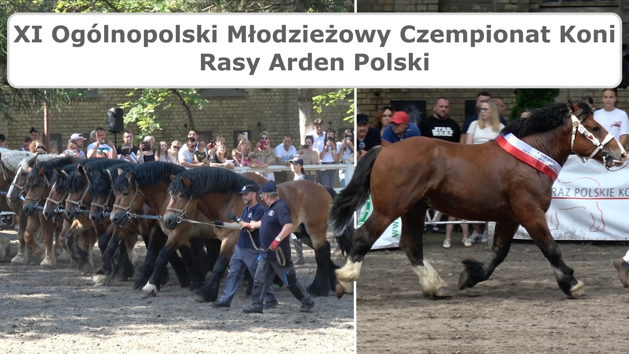 XI Og&oacute;lnopolski Młodzieżowy Czempionat Koni Rasy Arden Polski -2025