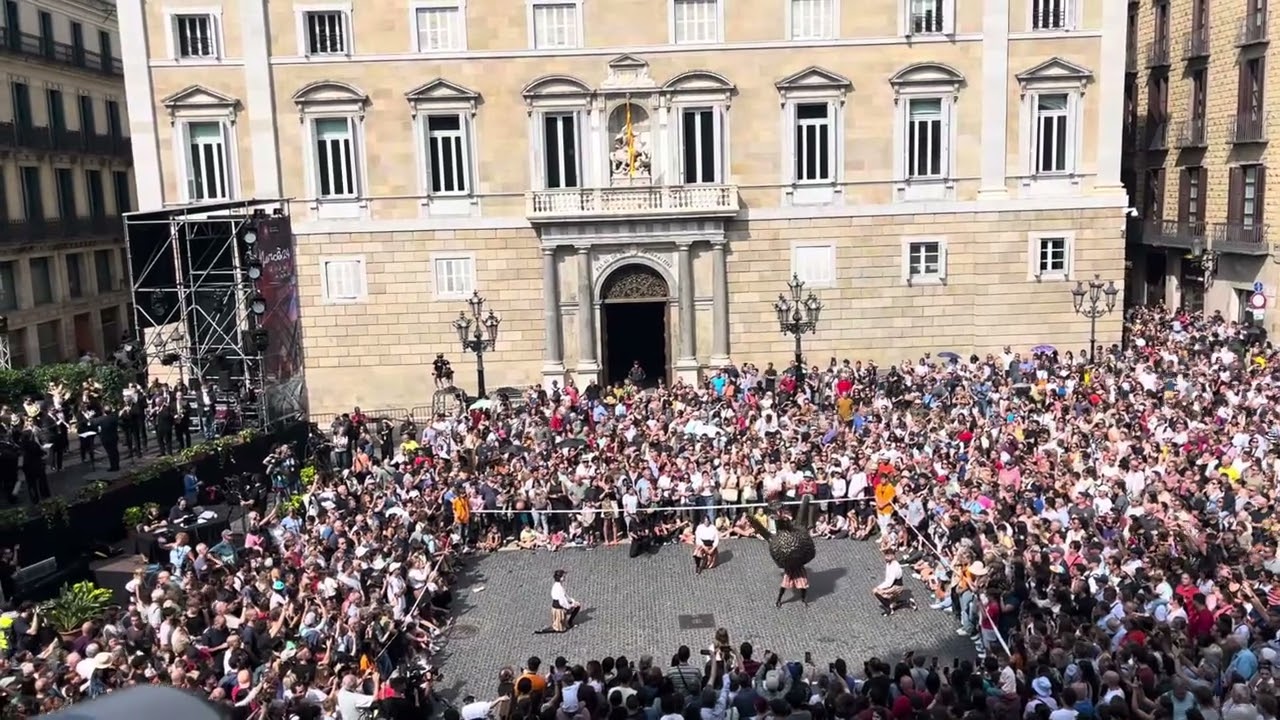 Ball de l'Àliga de la Ciutat | Danses vives