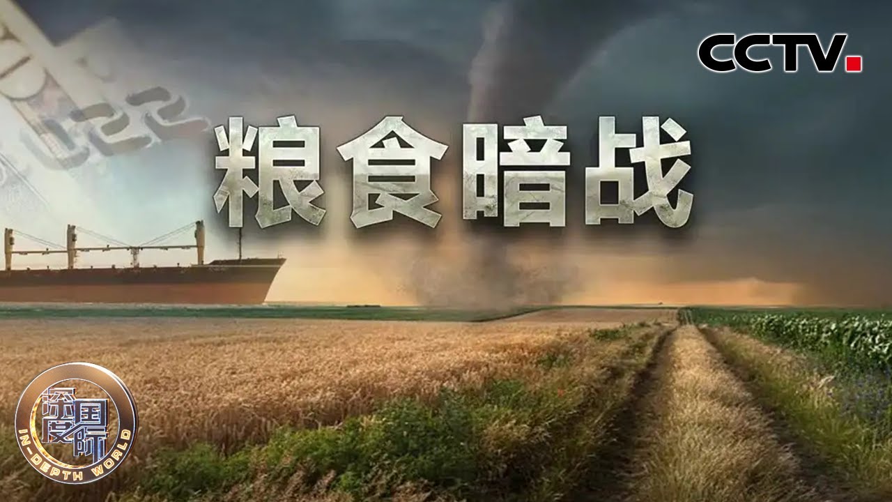 粮食暗战 20221112 |《深度国际》CCTV中文国际