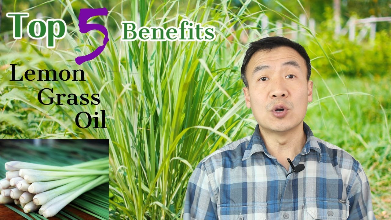Top 5 Benefits of Lemongrass Essential Oil. 3 Ways to Use Lemon Grass.