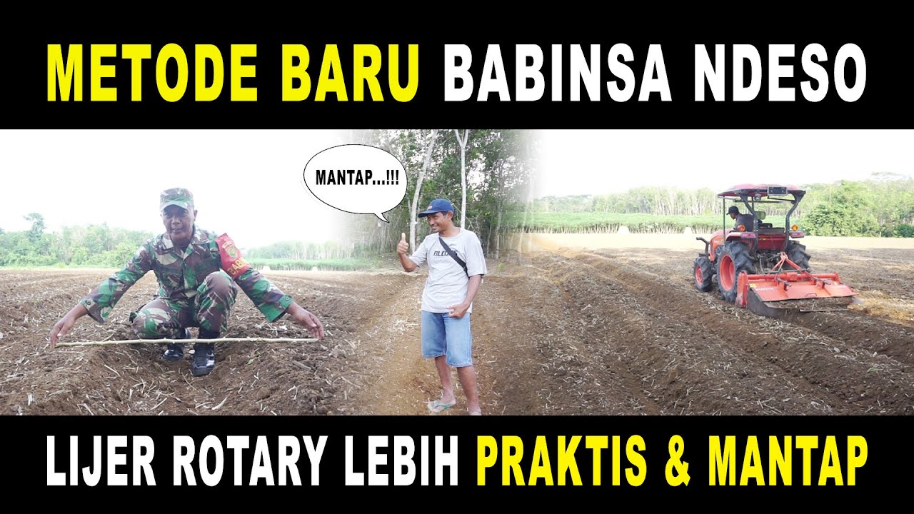 Cara Pengolahan lahan singkong dengan Lijer Rotary @Babinsa_Ndeso