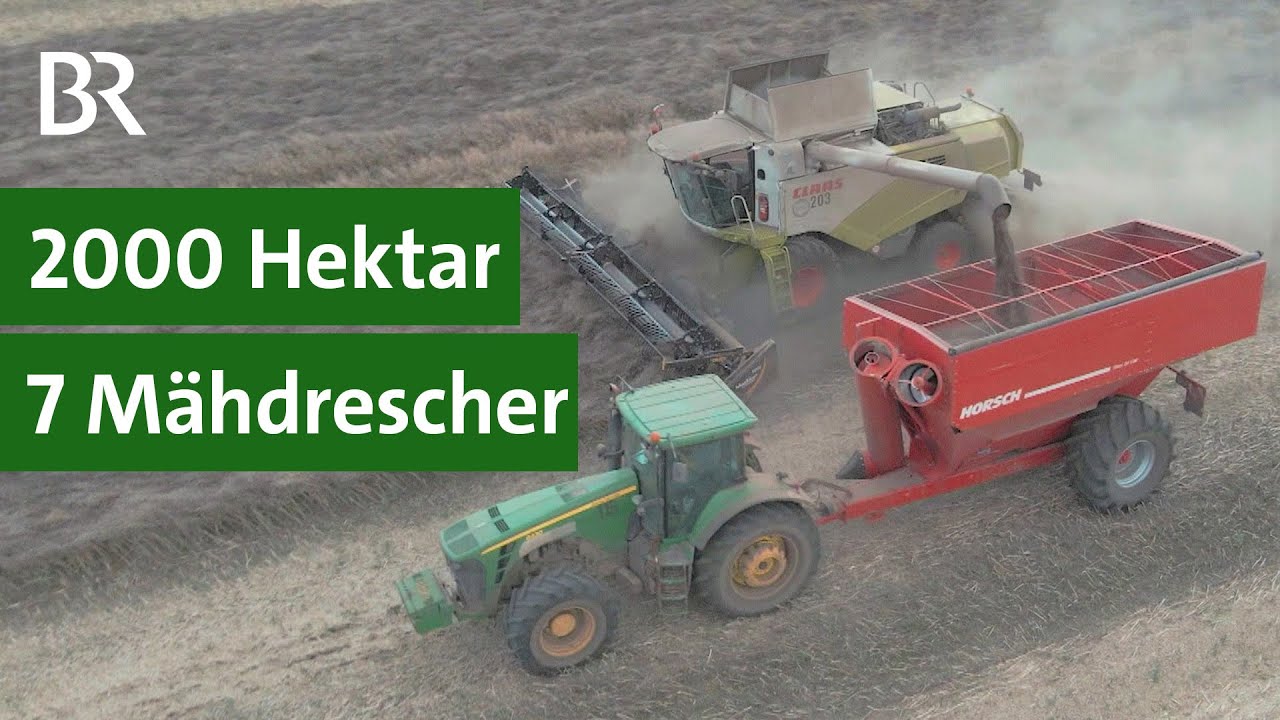 Landwirtschaft in Russland: Ernte mit sieben M&auml;hdreschern | Landtechnikvideos |