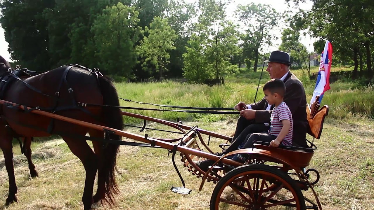 PODIZANJE ĐURĐEVDANSKOG STABLA / CRNJELOVO 5. maj 2018.