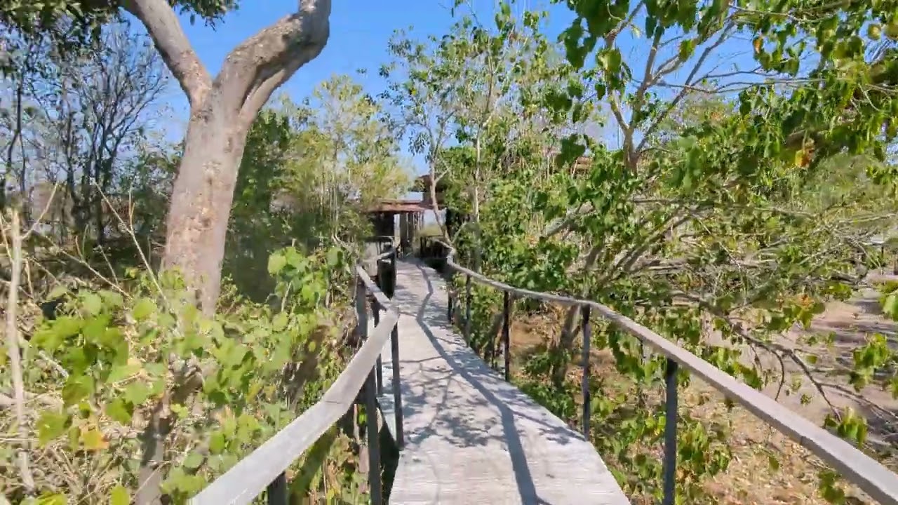 Tour of Wilderness Qorokwe Camp, Botswana